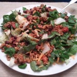 Fat Shredder Taco Salad
