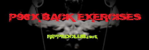 p90x back exercises
