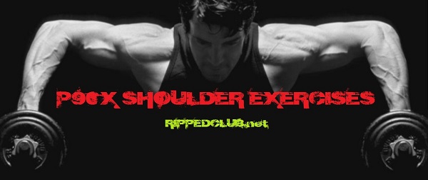 p90x shoulder exercises