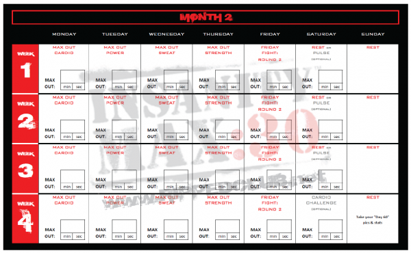 insanity max30 workout schedule - month 2